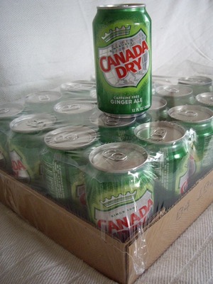 CANADA DRY ジンジャーエール