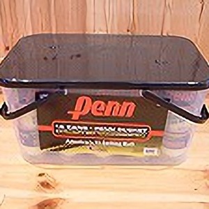 penn(ペン)  チャンピオンシップ テニスボール