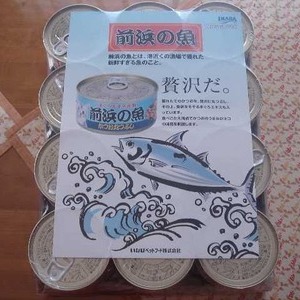 いなば 前浜の魚アソート24缶