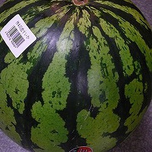 すいか 