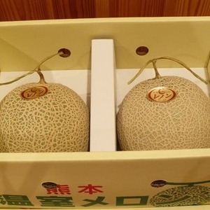 熊本 温室メロン
