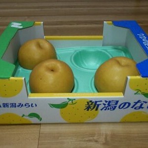 新高なし