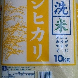 パールライス 無洗米コシヒカリ 10kg