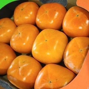 種なし柿 10玉
