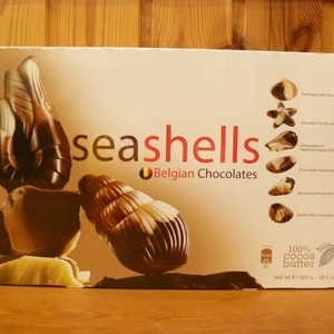 貝殻 ベルギー チョコレート seashells Belgian Chocolates