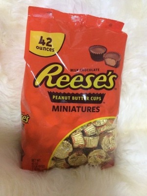 リーセス ピーナッツ バターカップ ミニチュア REESE'S PIANUT BUTTER CUP MINIATURES