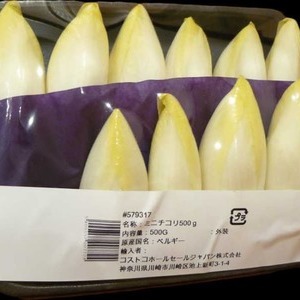 ミニチコリ