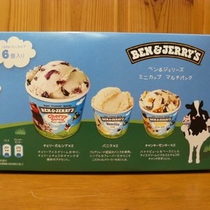 BEN&JERRY’S ベン&ジェリーズ ミニカップ アイス マルチパック