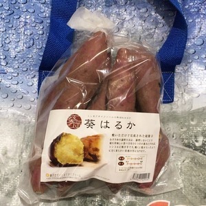 さつまいも べにはるか