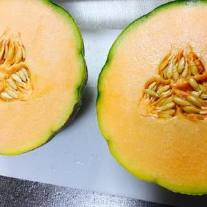 トスカナカンタロープメロン(赤肉)