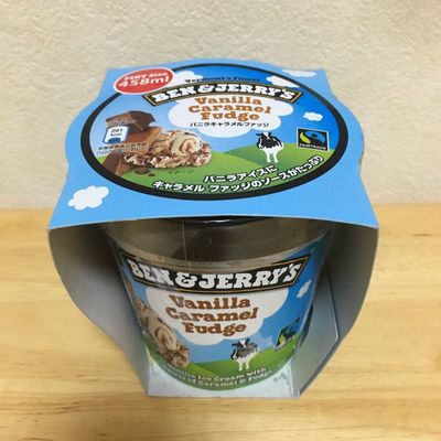 BEN&JERRY'S ベン＆ジェリーズ バニラキャラメルファッジ パイント