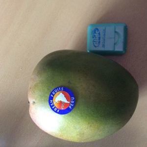 FRESKA アップルマンゴー メキシコ産