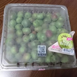 ベビーキウイ baby kiwi