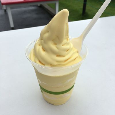 (名無し)さん[1]が投稿したコストコ トロピカルソフトクリームの写真