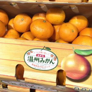 みかん