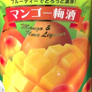 中田食品 マンゴー梅酒