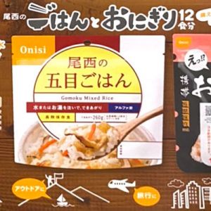 尾西食品 ごはんとおにぎりアソートセット