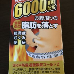 阪本漢法製薬 防風通聖散 ゴールド