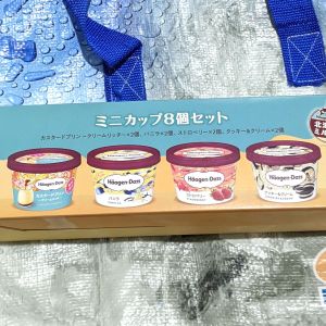 ハーゲンダッツ ミニカップ