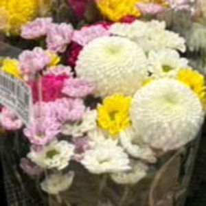 仏花