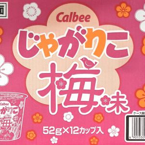 カルビー じゃがりこ サラダ味/梅味