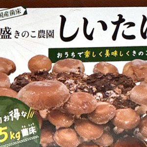 特盛きのこ農園しいたけ栽培キット