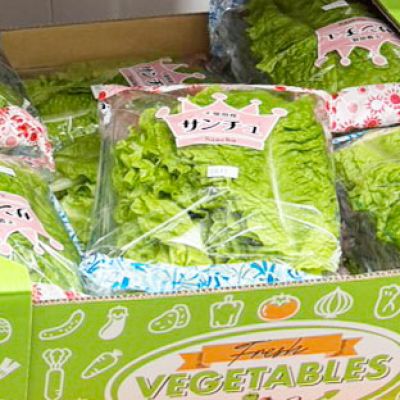 (名無し)さん[1]が投稿したサンチュの写真