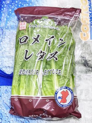 ロメインレタス