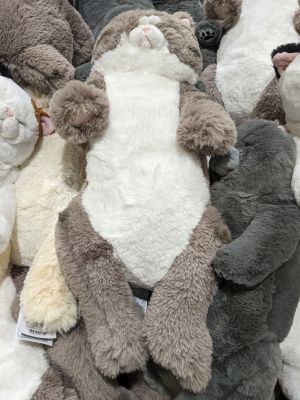 SUN LEMON ひざねこすやすや