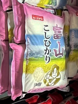 富山県産こしひかり