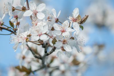 (名無し)さん[1]が投稿した今月のコストコ掲示板 2026年04月の写真