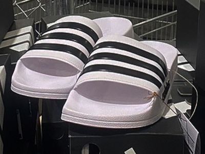 (名無し)さん[1]が投稿したアディダス アディレッタ サンダルの写真