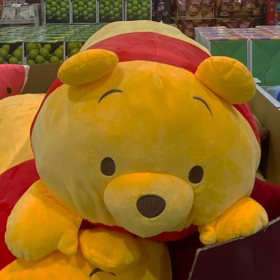 (名無し)さん[1]が投稿したKOWA キャラクター抱き枕の写真