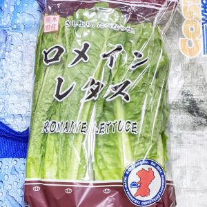 ロメインレタス