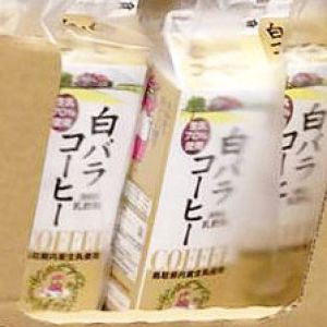 大山乳業 白バラコーヒー