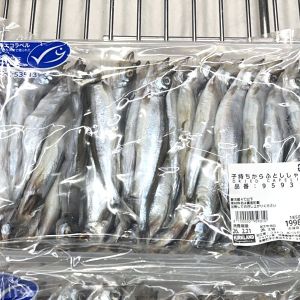 子持ちからふとししゃも