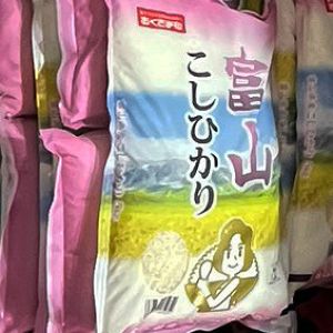 富山県産こしひかり