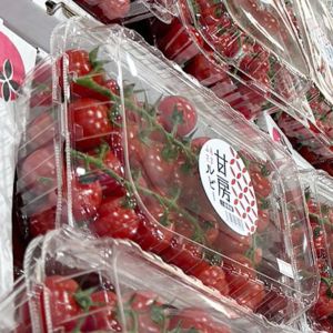 房付きチェリートマト