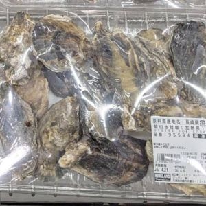 カークランド 殻付き牡蠣（加熱用）