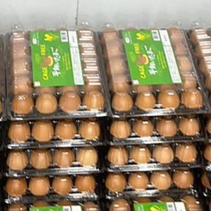 くらもち ケージフリー卵