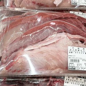 カークランド 加熱用 生本まぐろ あら